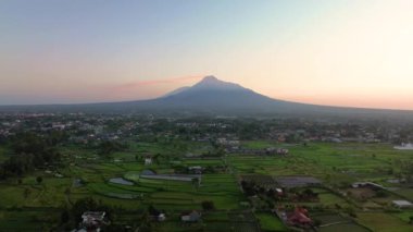 Merapi Dağı 'nın panoraması ve sabah güzel köyde pirinç tarlaları. Sabah pirinç tarlasında Merapi Dağı 'nın arka planında hafif çiğ taneleri ve mavi sarı sabah gökyüzü