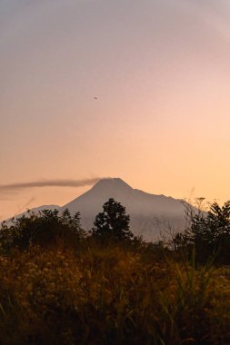 Merapi Dağı manzaralı güzel Altın Gün Doğumu. Güneş doğduğunda, Merapi Dağı 'nı ön planda ağaçların siluetleri olan kırmızı sarı gökyüzüne karşı gösterir.