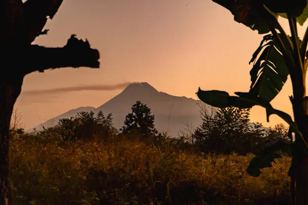 Merapi Dağı manzaralı güzel Altın Gün Doğumu. Güneş doğduğunda, Merapi Dağı 'nı ön planda ağaçların siluetleri olan kırmızı sarı gökyüzüne karşı gösterir.
