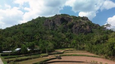 Gün boyunca Nglanggeran Antik Volkan eko eko alanının 4k hava görüntüsü. Güzel bir kırsal bölgedeki yemyeşil ağaçlarla çevrili antik kaya tepelerinin hava görüntüleri.