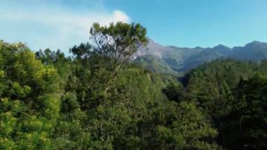 Sabah Merapi Dağı 'nın 4k hava görüntüsü yaz sabahları güzel manzaralı yakın mesafeden. Önünde orman ve yeşil tepeler olan volkanın havadan manzarası.