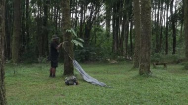 Doğada dinlenmek ve tek başına huzurlu bir hayatın tadını çıkarmak için iki çam ağacı arasına bir hamak bağlama süreci. Bir maceraperest güzel ve yemyeşil bir çam ormanına hamak kuruyor.