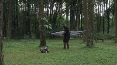 Doğada dinlenmek ve tek başına huzurlu bir hayatın tadını çıkarmak için iki çam ağacı arasına bir hamak bağlama süreci. Bir maceraperest güzel ve yemyeşil bir çam ormanına hamak kuruyor.