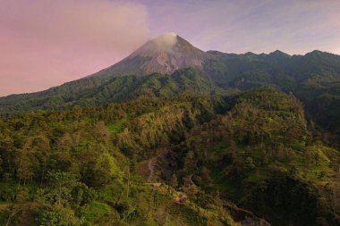 Güneş doğarken Merapi Dağı 'nın manzarası çok güzeldir. Önünde mor bir gökyüzü, ormanı ve vadisi olan aktif bir volkanın detaylı manzarası.