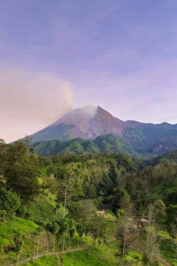 Merapi Dağı 'nın panoraması yakın mesafeden güzel bir manzarayla aydınlık bir sabahta. Önünde mor gökyüzü, orman ve vadi olan aktif volkanın detaylı manzarası.