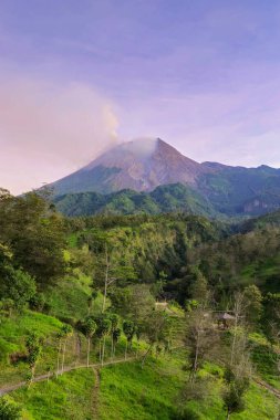 Merapi Dağı 'nın panoraması yakın mesafeden güzel bir manzarayla aydınlık bir sabahta. Önünde mor gökyüzü, orman ve vadi olan aktif volkanın detaylı manzarası.