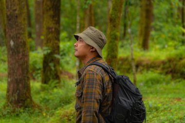 Yoğun ve yeşil bir çam ormanında bir maceracının yarı vücut görüntüsü. Flanel gömlekli, kova şapkalı ve sırt çantalı Asyalı bir erkek gezgin yoğun çam ağaçlarının arkasında poz veriyor..