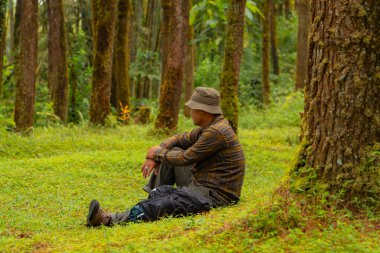 Bir maceraperest yemyeşil çimlerin üzerinde oturuyor yemyeşil bir çam ormanında. Flanel gömlekli ve şapkalı Asyalı adam oturmuş güzel doğanın huzurunun tadını çıkarırken dinleniyor.