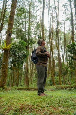 Yoğun yeşil çam ormanlarında maceracı kılığına girmiş Asyalı bir adam. Flanel gömlekli, kova şapkalı ve siyah sırt çantalı bir maceraperest yoğun bir çam ağacı zeminine karşı çeşitli şekillerde poz verir..
