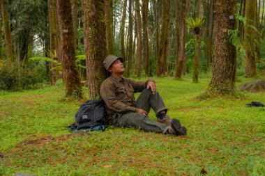 Bir maceracı yeşil çimenleri olan güzel bir çam ağacına yaslanarak dinleniyor. Yetişkin bir adam, çam ormanlarının olduğu bölgede doğanın huzurunun tadını çıkarırken dinleniyor.