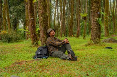 Bir maceracı yeşil çimenleri olan güzel bir çam ağacına yaslanarak dinleniyor. Yetişkin bir adam, çam ormanlarının olduğu bölgede doğanın huzurunun tadını çıkarırken dinleniyor.