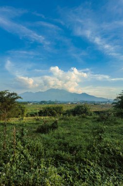 Bulutlu mavi gökyüzü, yeşil çimenler ve ağaçlarla kaplı bir dağın manzarası. Uzaktan dağın güzel manzarası ön planda geniş çimenli bir alan var.. 