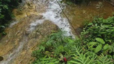 Hala hızlı akan suyla doğal ve güzel olan bir şelalenin video görüntüleri. Kayaların hakim olduğu dramatik bir şelalenin ve etrafındaki yoğun ağaçların temiz su akışının 4k görüntüleri.