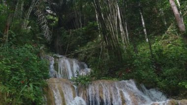 Hala hızlı akan suyla doğal ve güzel olan bir şelalenin video görüntüleri. Kayaların hakim olduğu dramatik bir şelalenin ve etrafındaki yoğun ağaçların temiz su akışının 4k görüntüleri.
