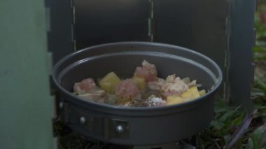 Roti Canai ile köri pişirirken çam ormanlarında tek başına kamp yapma fikri. Asyalı bir erkek maceracı, güzel doğada yemek pişirip hazırlanırken tek başına kamp yapar.