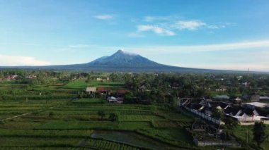 Merapi Dağı 'nın panoramik güzelliğinin açık bir sabahtaki 4K hava görüntüsü. Volkanın havadan manzarası panoramik manzaralı ve önünde pirinç tarlaları var.