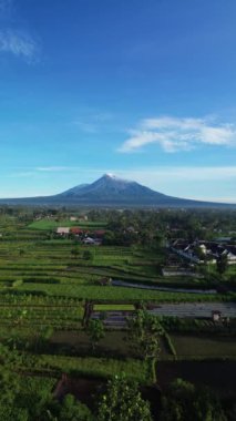 Merapi Dağı 'nın güzel manzarasının açık bir sabahtaki hava portresi görüntüleri. 4k video görüntüsü volkan manzaralı kırsal alan manzaralı ve pirinç tarlalı.