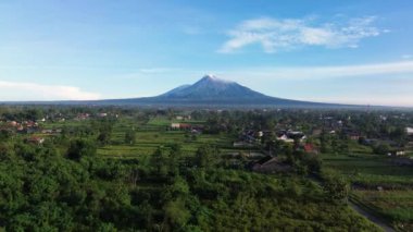 Merapi Dağı 'nın panoramik güzelliğinin açık bir sabahtaki 4K hava görüntüsü. Volkanın havadan manzarası panoramik manzaralı ve önünde pirinç tarlaları var.