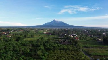 Merapi Dağı 'nın panoramik güzelliğinin açık bir sabahtaki 4K hava görüntüsü. Volkanın havadan manzarası panoramik manzaralı ve önünde pirinç tarlaları var.