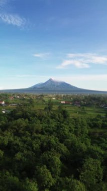 Merapi Dağı 'nın güzel manzarasının açık bir sabahtaki hava portresi görüntüleri. 4k video görüntüsü volkan manzaralı kırsal alan manzaralı ve pirinç tarlalı.