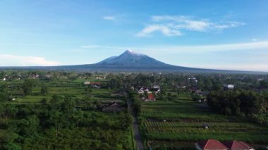 Merapi Dağı 'nın panoramik güzelliğinin açık bir sabahtaki 4K hava görüntüsü. Volkanın havadan manzarası panoramik manzaralı ve önünde pirinç tarlaları var.