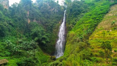 Surodipo Waterfall is beautiful and surrounded by high cliffs with shady trees all around. Aerial photo of a beautiful waterfall located among lush trees and steep cliffs clipart