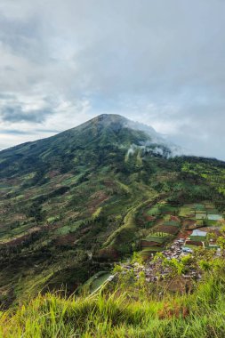 Landscape Mount Sindoro from a close distance with clouds around the peak on a sunny morning. The beautiful and green view of Mount Sindoro from the top of the hill at an altitude of 1800 mdpl clipart