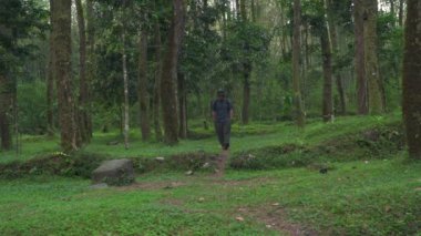 Sırt çantasında uzun otlarla sık bir çam ormanında gezen yalnız bir maceraperest. Asyalı erkek gezgin, sık ağaçlar ve kalın yeşil otlar arasında tek başına bir orman bölgesinde yürüyor.