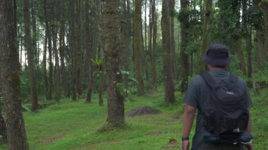 Sırt çantasında uzun otlarla sık bir çam ormanında gezen yalnız bir maceraperest. Asyalı erkek gezgin, sık ağaçlar ve kalın yeşil otlar arasında tek başına bir orman bölgesinde yürüyor.