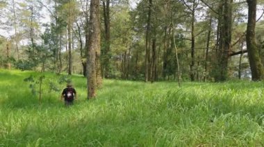 Sırt çantasında uzun otlarla sık bir çam ormanında gezen yalnız bir maceraperest. Asyalı erkek gezgin, sık ağaçlar ve kalın yeşil otlar arasında tek başına bir orman bölgesinde yürüyor.