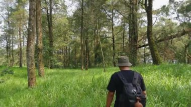 Sırt çantasında uzun otlarla sık bir çam ormanında gezen yalnız bir maceraperest. Asyalı erkek gezgin, sık ağaçlar ve kalın yeşil otlar arasında tek başına bir orman bölgesinde yürüyor.