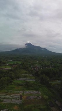 Akşamüstü, önünde yemyeşil ağaçlardan oluşan bir panorama olan aktif bir volkanın havadan görüntüsü. Drone görüntüleri Sleman, Yogyakarta, Endonezya 'daki Merapi Dağı' nın güzelliğini gösteriyor.