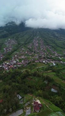 Dağın eteklerinden, pirinç tarlaları ve birkaç güzel ve serin köyle 4K hava görüntüsü. Merapi Dağı eteğinde köy bölgesinin hava manzarası ve yeşil pirinç tarlaları.