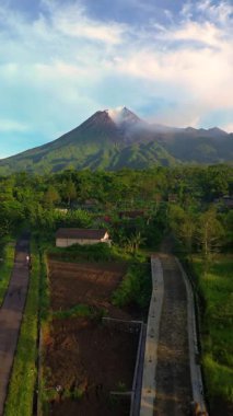 Önünde sık bir orman manzarası olan aktif bir volkanın sabahki havadan görüntüsü. Drone görüntüleri, güneş doğarken Sleman, Yogyakarta, Endonezya 'daki Merapi Dağı' nın güzelliğini gösteriyor.