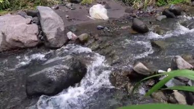 Su akıntısının akıntıya karşı akan görüntüsü. Etrafı yeşil otlarla çevrili. Akıntıya karşı temiz su ve güzel manzarayla akan detaylı suyun ASMR görüntüsü