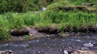 Erkek bir çiftçi tepeden aşağı iner ve hayvan yemi olarak otları taşıyan küçük bir nehri geçer. Bir çiftçi, ormandan eve götürmek için kafasında bir yığın ot taşır..