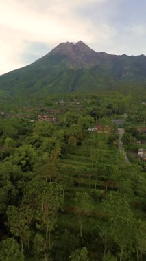 Parlak bir sabahta volkan arkaplanlı yeşil ormanın portre görüntüleri. Volkanın güzelliğinin insansız hava aracı hareketi gündoğumundan hemen sonra parlak görünüyor.