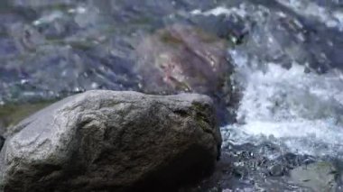 Berrak su akışına sahip sakin doğal manzara, doğada rahatlama için barışçıl bir atmosfer yaratır. Etrafında kayalar ve çimenler akan nehir suyunun doğal atmosferi..