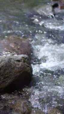 Net su akışının olduğu sakin doğal bir manzaranın portre videosu, doğada rahatlama için huzurlu bir atmosfer yaratıyor. Etrafında kayalar ve çimenler akan nehir suyunun doğal atmosferi..