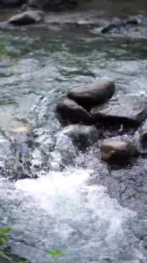 Net su akışının olduğu sakin doğal bir manzaranın portre videosu, doğada rahatlama için huzurlu bir atmosfer yaratıyor. Etrafında kayalar ve çimenler akan nehir suyunun doğal atmosferi..