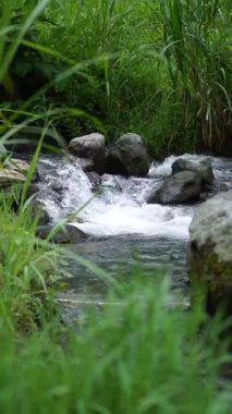 Net su akışının olduğu sakin doğal bir manzaranın portre videosu, doğada rahatlama için huzurlu bir atmosfer yaratıyor. Etrafında kayalar ve çimenler akan nehir suyunun doğal atmosferi..