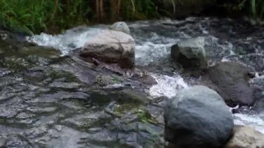 Berrak su akışına sahip sakin doğal manzara, doğada rahatlama için barışçıl bir atmosfer yaratır. Etrafında kayalar ve çimenler akan nehir suyunun doğal atmosferi..