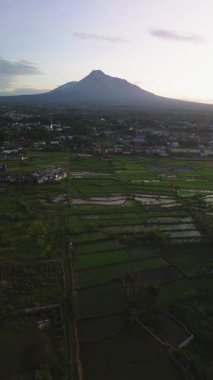 Önünde yeşil pirinç tarlaları olan karanlık gökyüzündeki bir volkanın havadan görünüşü. Drone görüntüleri, güneş doğmadan önce Sleman, Yogyakarta, Endonezya 'daki Merapi Dağı' nın güzelliğini gösteriyor.