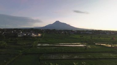 Önünde yeşil pirinç tarlaları olan karanlık gökyüzündeki bir volkanın havadan görünüşü. Drone görüntüleri, güneş doğmadan önce Sleman, Yogyakarta, Endonezya 'daki Merapi Dağı' nın güzelliğini gösteriyor.