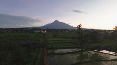 Önünde yeşil pirinç tarlaları olan karanlık gökyüzündeki bir volkanın havadan görünüşü. Drone görüntüleri, güneş doğmadan önce Sleman, Yogyakarta, Endonezya 'daki Merapi Dağı' nın güzelliğini gösteriyor.