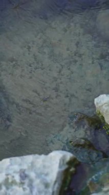 Temiz bir nehrin akan suyuna yakın çekim doğada dinlenmek için barışçıl bir atmosfer yaratır. Doğal atmosfer, kayalar ve otlarla çevrili temiz nehir suyuyla oluşur..