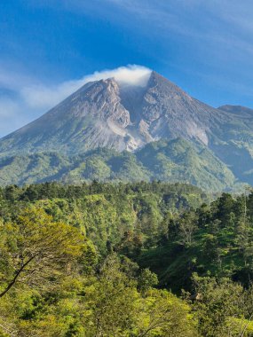 Sabah Merapi Dağı manzarası ve önü yemyeşil bir orman. Açık bir sabahta Merapi Dağı 'nın panoramik güzelliği belli bir mesafeden görülebiliyor..