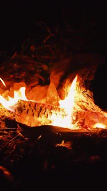 Ormandaki gece kamp ateşinin yakın çekim görüntüleri var. Kamp ateşindeki alevlerin süreci 4K görüntülerinde yavaşça odunları yakıyor..