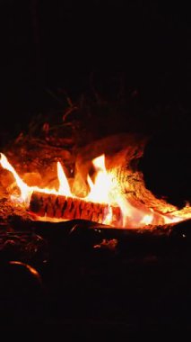 Ormandaki gece kamp ateşinin yakın çekim görüntüleri var. Kamp ateşindeki alevlerin süreci 4K görüntülerinde yavaşça odunları yakıyor..