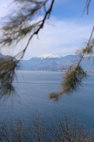 Kar dağları olan güzel bir göl ya da deniz manzarası